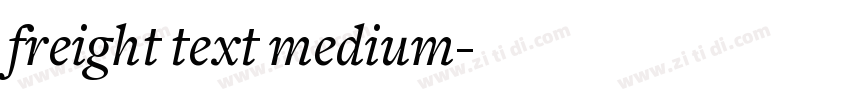 freight text medium字体转换 freight text medium字体转换